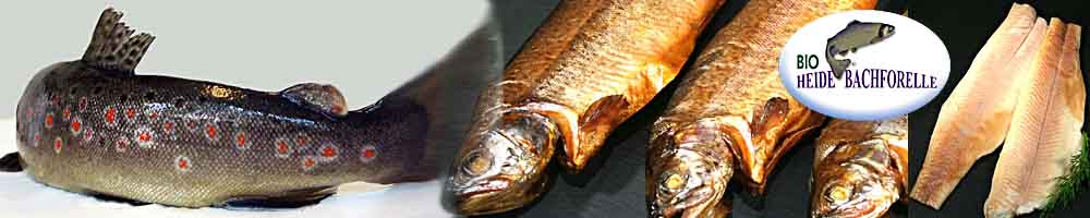 Bio heidebachforelle neu