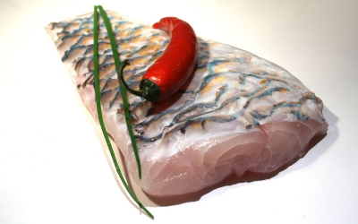 Papageifisch-Filet_3